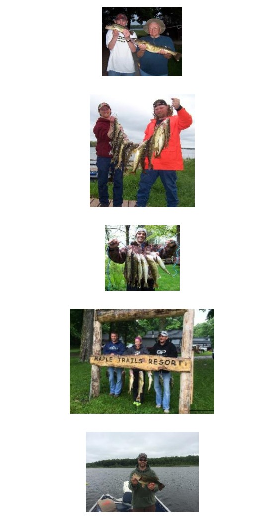 Other people catching walleye and bass